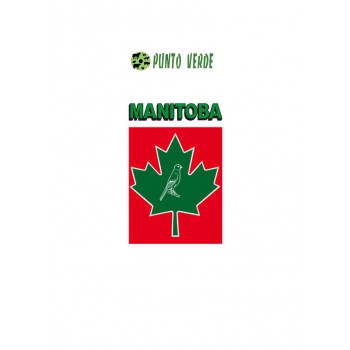 MANITOBA GIRASOLE STRIATO GR.500